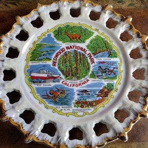Collectable Retro Vintage Travel 1960's Redwood National Park California